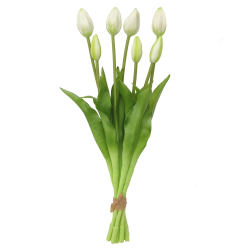 Kytica tulipnov so 7 plastovmi tulipnmi, krmovo zelen