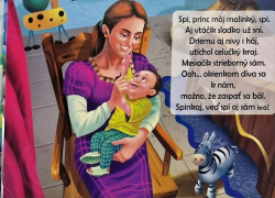 Obr�zok (1)