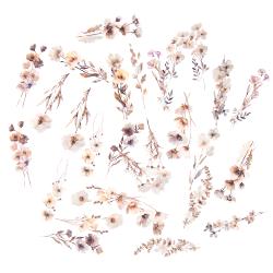 Kvetinov Nlepky, 30ks (Bov)