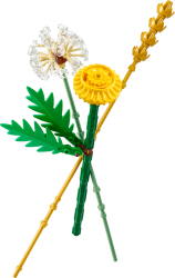 Obr�zok (1)